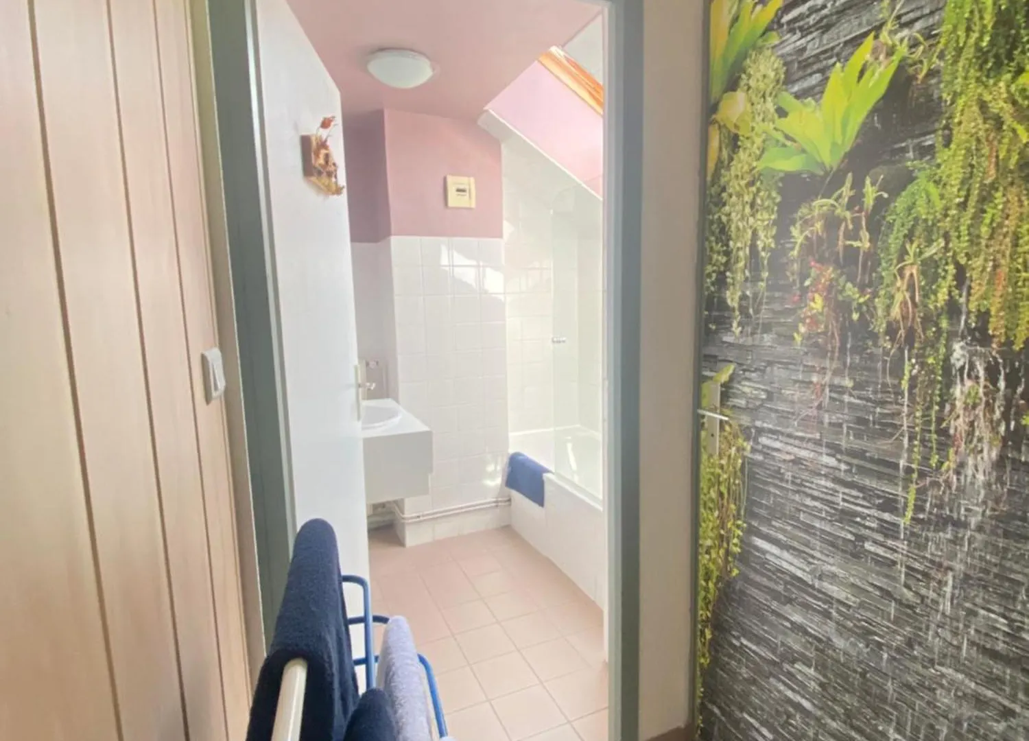Auberge Le Bois du Cornet La Forclaz Hotel